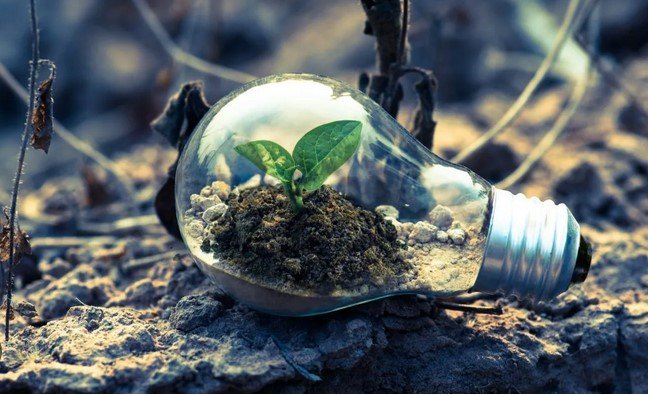 Technology’s Role in Environmental Sustainability