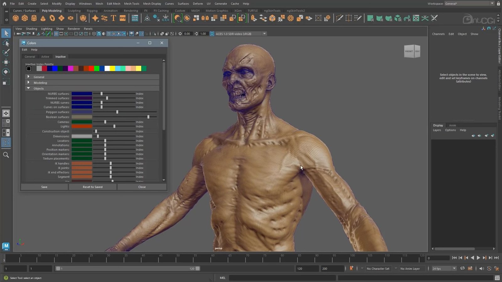 Top 3D Animation Tools for Creative Professionals